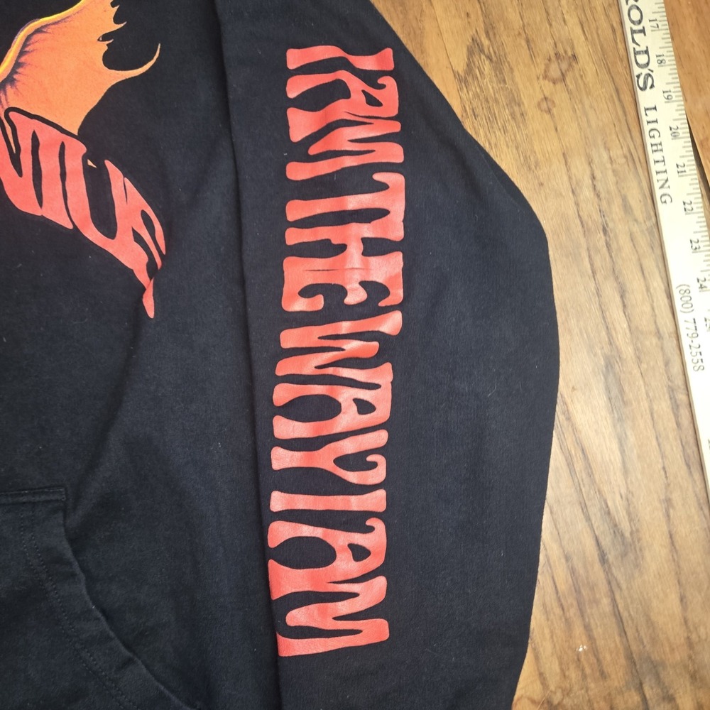 Boy Genius Band Hoodie Sz 2xl Demon Hell Scene Double Sided Pullover Sweatshirt - Picture 3 of 7